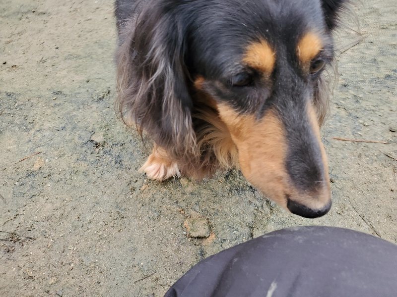 f:id:roukenhome-ann:20191223183147j:plain f:id:roukenhome-ann:20191223183147j:plain