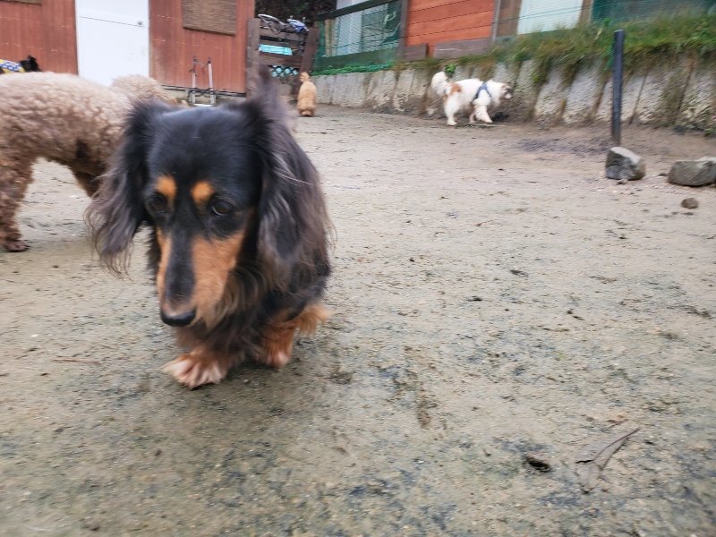 f:id:roukenhome-ann:20191223183158j:plain f:id:roukenhome-ann:20191223183158j:plain