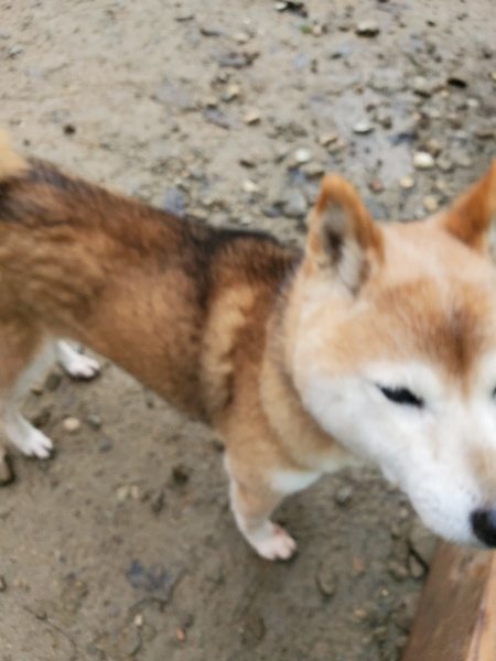 f:id:roukenhome-ann:20191224145427j:plain
