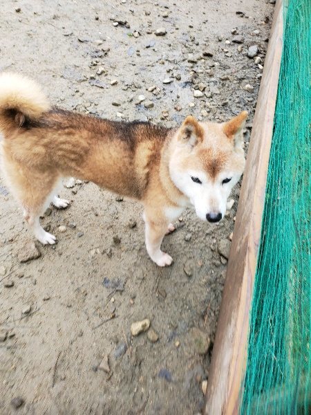 f:id:roukenhome-ann:20191224145454j:plain