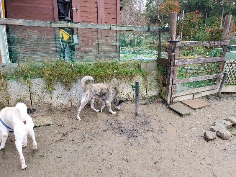 f:id:roukenhome-ann:20191224145515j:plain