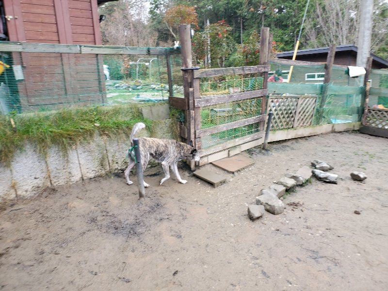 f:id:roukenhome-ann:20191224145532j:plain