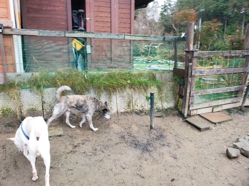 f:id:roukenhome-ann:20191224145550j:plain