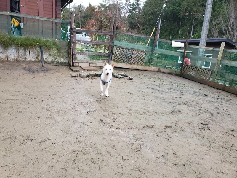 f:id:roukenhome-ann:20191224145602j:plain