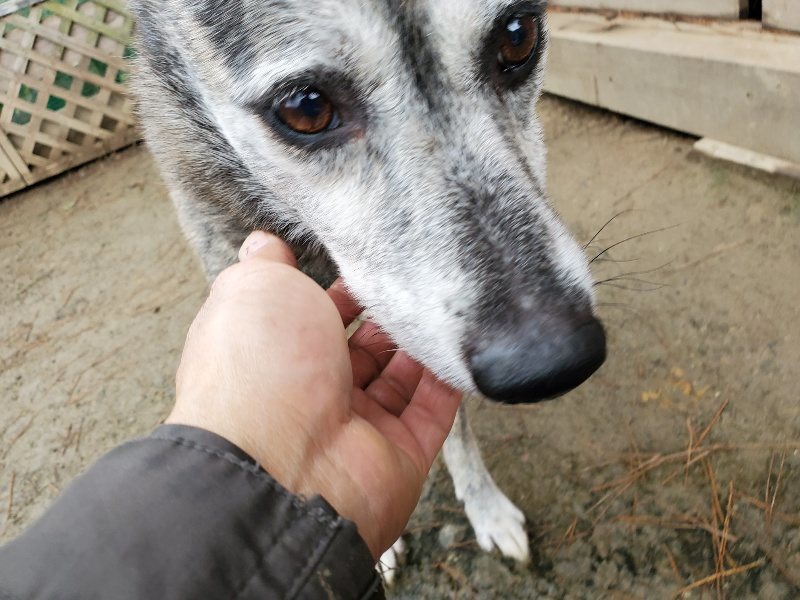 f:id:roukenhome-ann:20191224145630j:plain