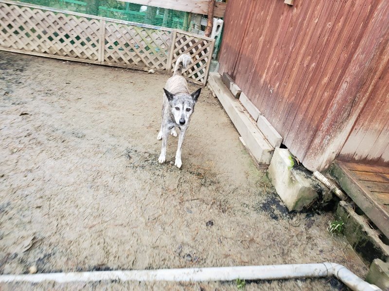 f:id:roukenhome-ann:20191224145647j:plain