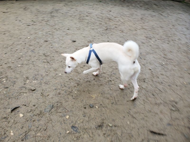 f:id:roukenhome-ann:20191224145702j:plain