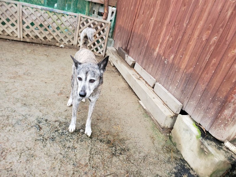 f:id:roukenhome-ann:20191224145714j:plain