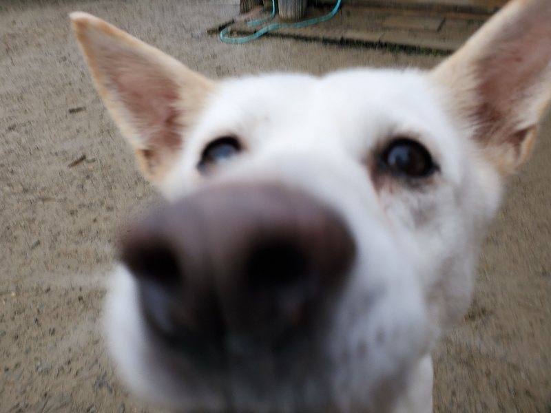f:id:roukenhome-ann:20191224145832j:plain