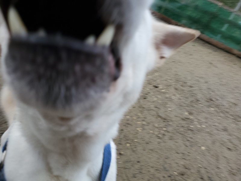 f:id:roukenhome-ann:20191224145838j:plain