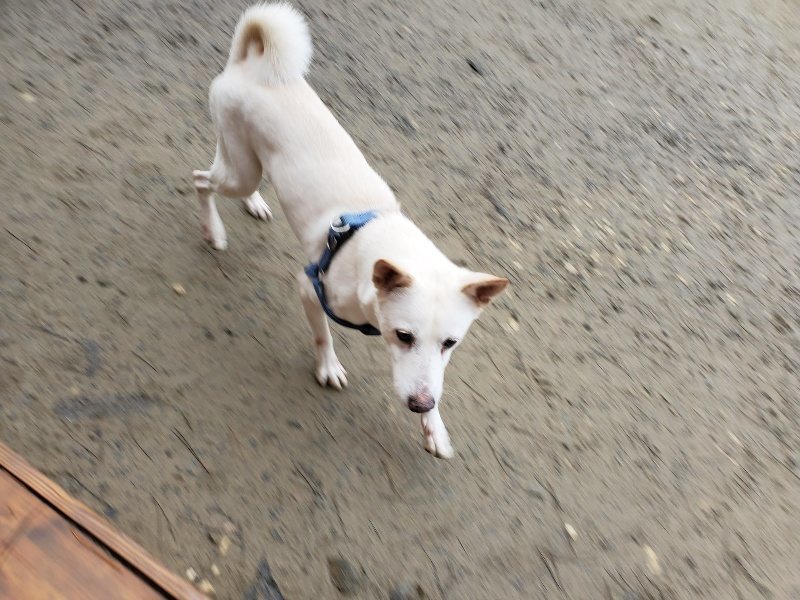 f:id:roukenhome-ann:20191224145847j:plain