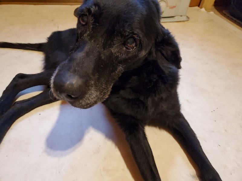f:id:roukenhome-ann:20191224145933j:plain