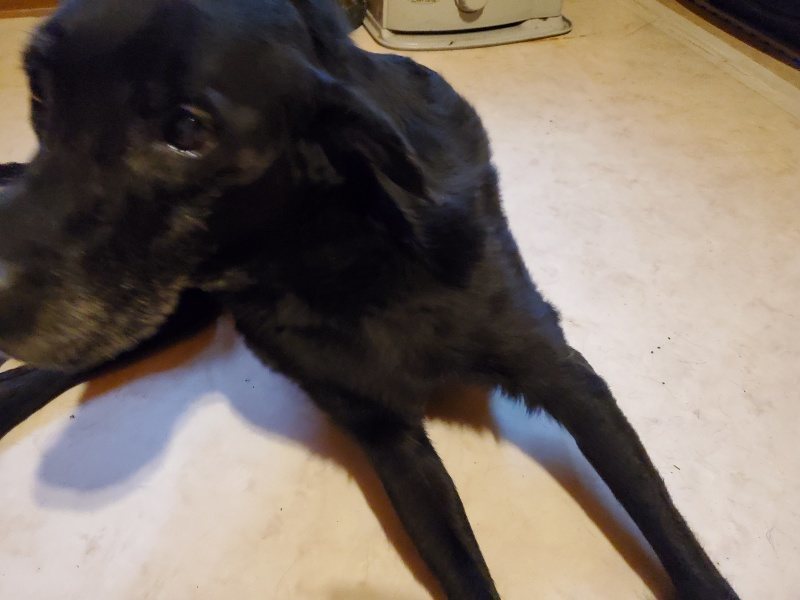 f:id:roukenhome-ann:20191224145950j:plain