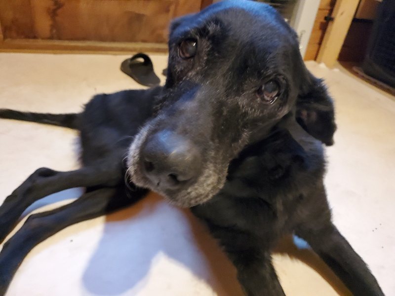 f:id:roukenhome-ann:20191224145958j:plain