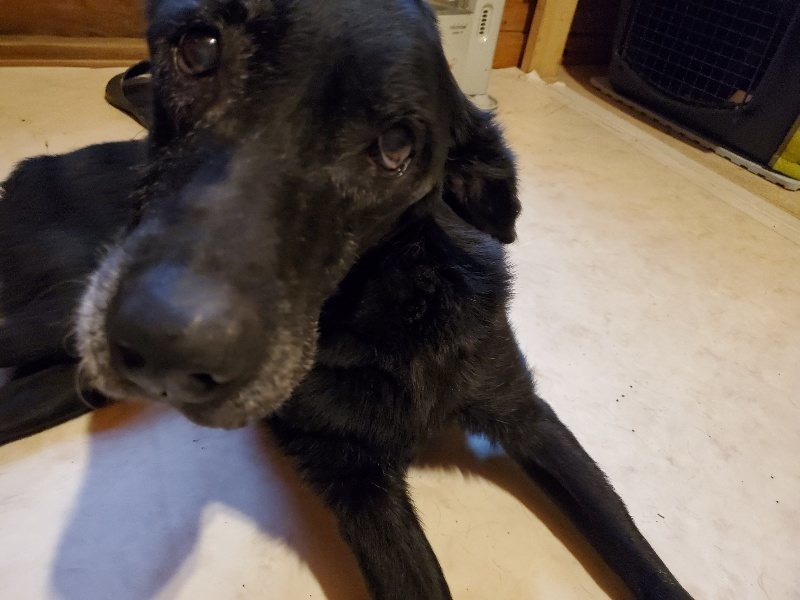 f:id:roukenhome-ann:20191224150017j:plain