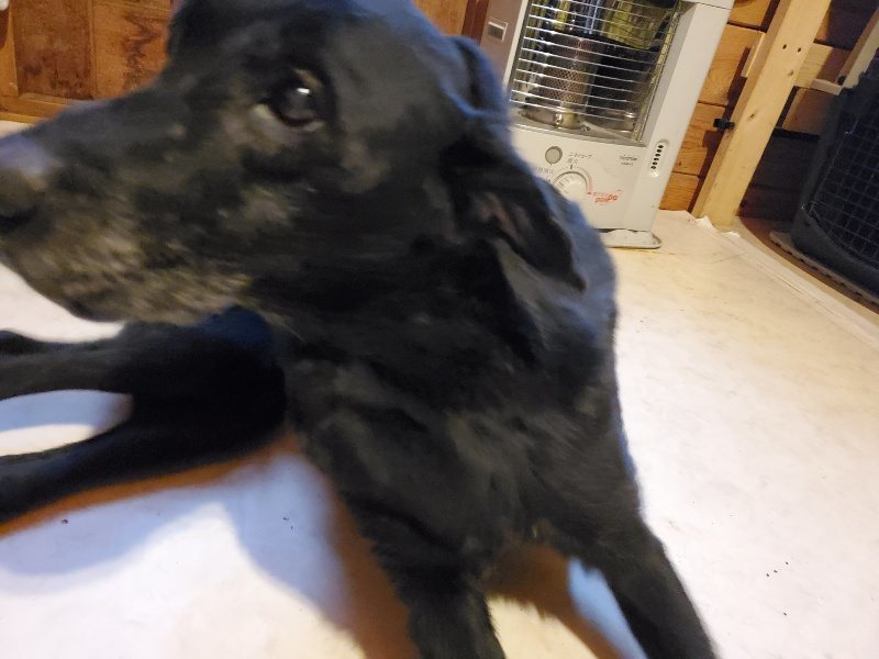 f:id:roukenhome-ann:20191224150023j:plain