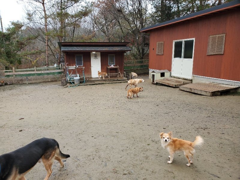f:id:roukenhome-ann:20191224150058j:plain