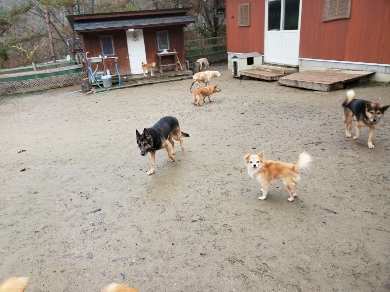 f:id:roukenhome-ann:20191224150118j:plain