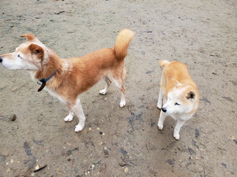 f:id:roukenhome-ann:20191224150127j:plain