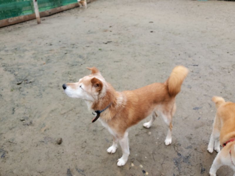 f:id:roukenhome-ann:20191224150130j:plain