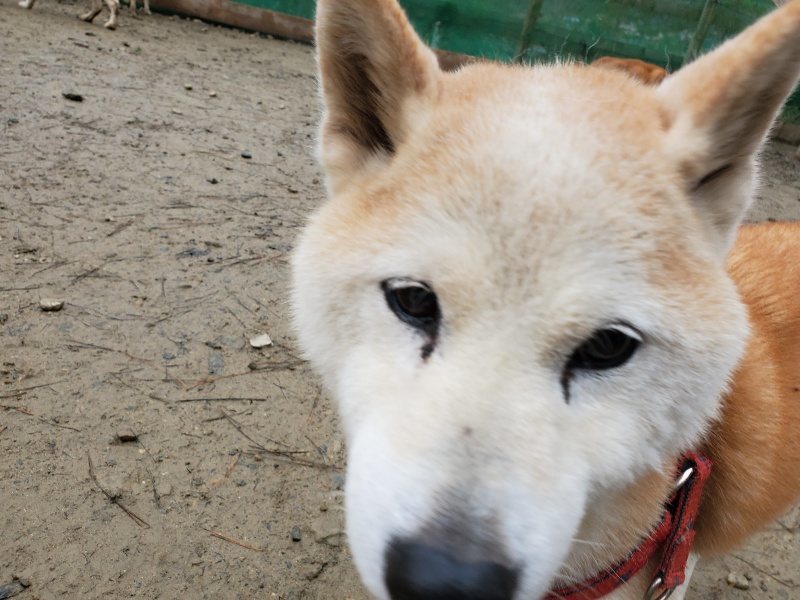 f:id:roukenhome-ann:20191224153102j:plain