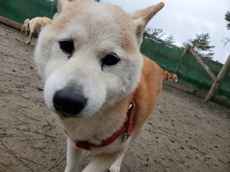 f:id:roukenhome-ann:20191224153110j:plain