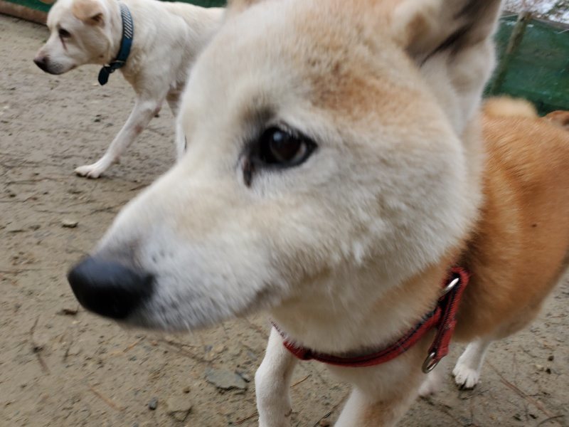 f:id:roukenhome-ann:20191224153123j:plain