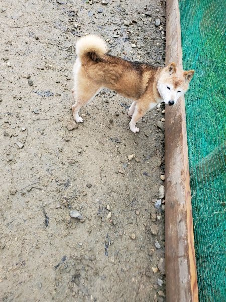 f:id:roukenhome-ann:20191224153146j:plain