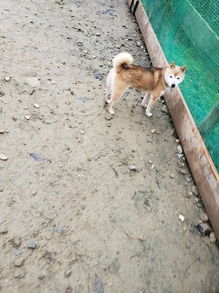 f:id:roukenhome-ann:20191224153157j:plain