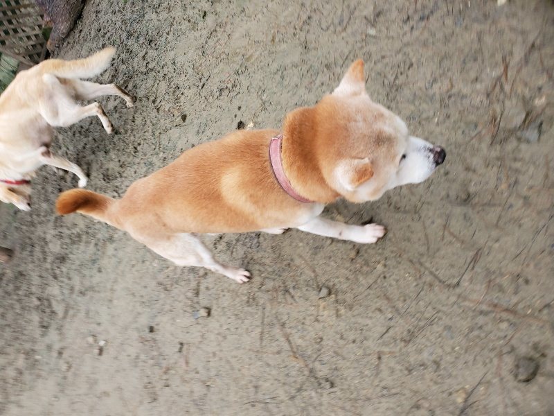 f:id:roukenhome-ann:20191224153227j:plain