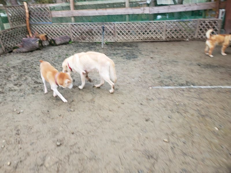 f:id:roukenhome-ann:20191224153245j:plain
