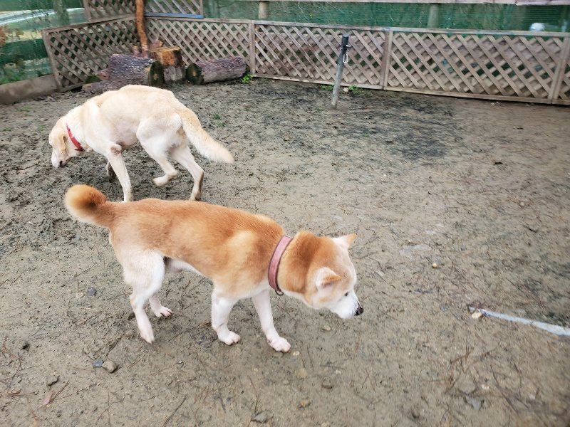 f:id:roukenhome-ann:20191224153250j:plain