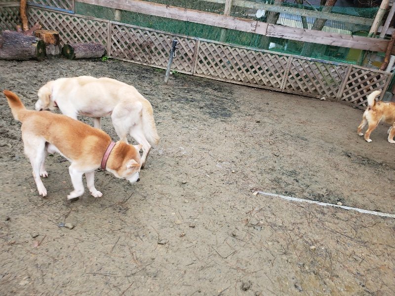f:id:roukenhome-ann:20191224153257j:plain