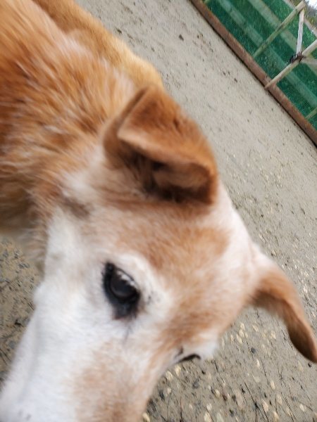 f:id:roukenhome-ann:20191224153321j:plain