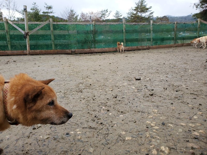 f:id:roukenhome-ann:20191224153343j:plain