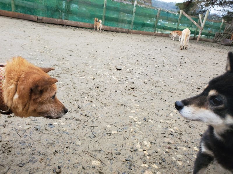 f:id:roukenhome-ann:20191224153350j:plain