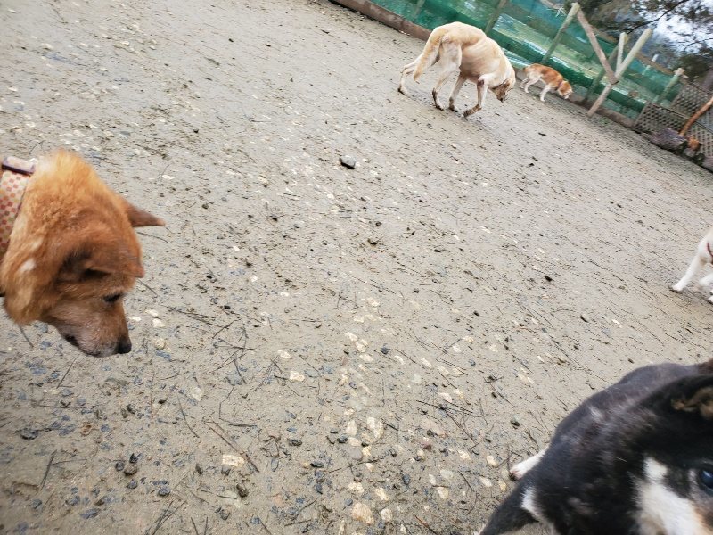 f:id:roukenhome-ann:20191224153407j:plain