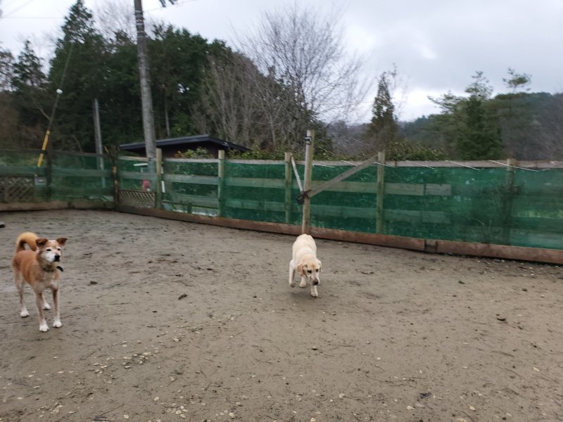 f:id:roukenhome-ann:20191224153420j:plain