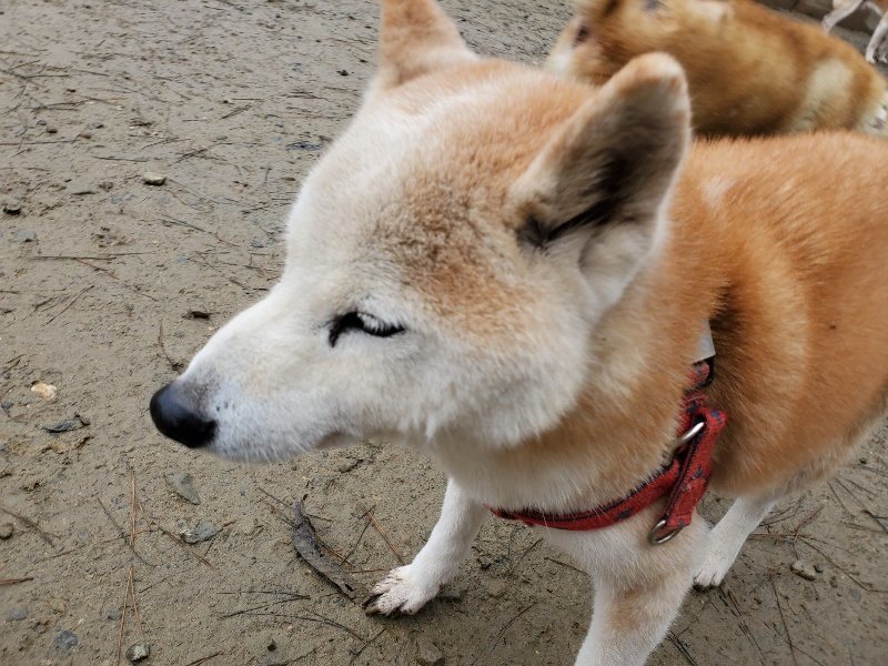 f:id:roukenhome-ann:20191224153441j:plain