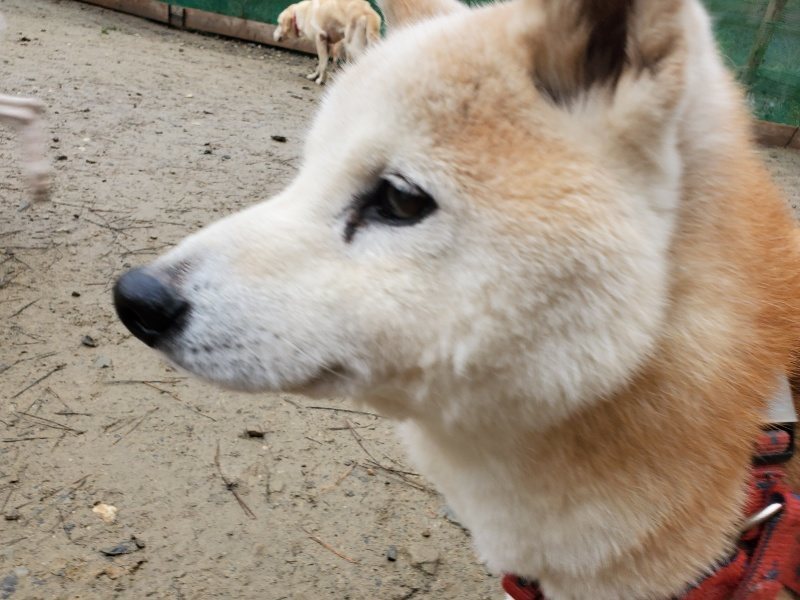 f:id:roukenhome-ann:20191224153449j:plain