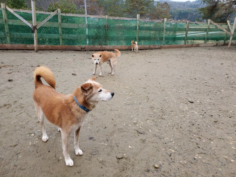 f:id:roukenhome-ann:20191224182511j:plain