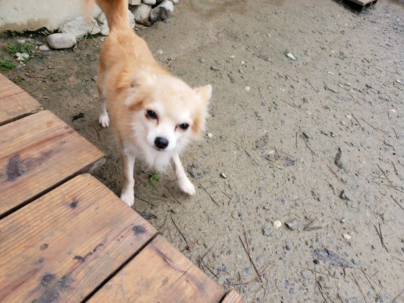 f:id:roukenhome-ann:20191224182537j:plain