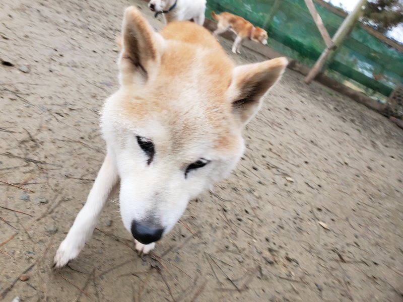 f:id:roukenhome-ann:20191224182543j:plain