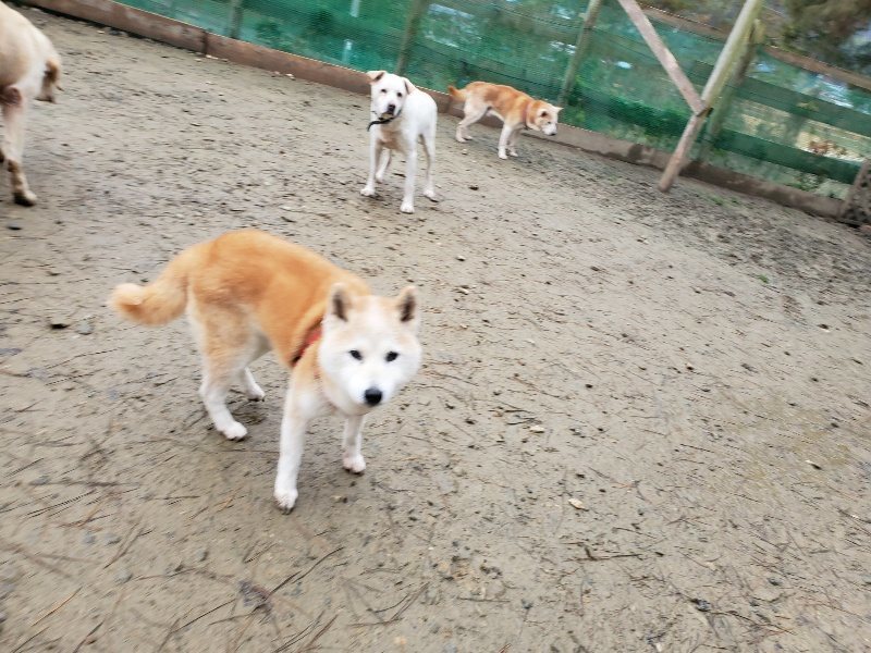 f:id:roukenhome-ann:20191224182548j:plain