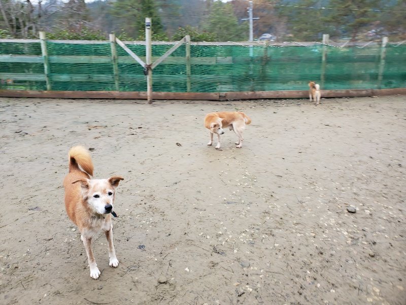 f:id:roukenhome-ann:20191224182714j:plain