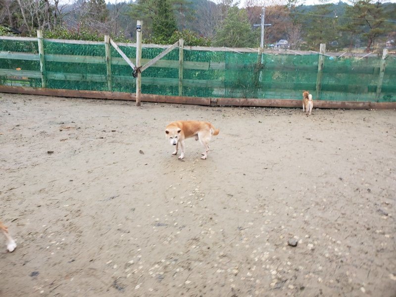 f:id:roukenhome-ann:20191224182722j:plain