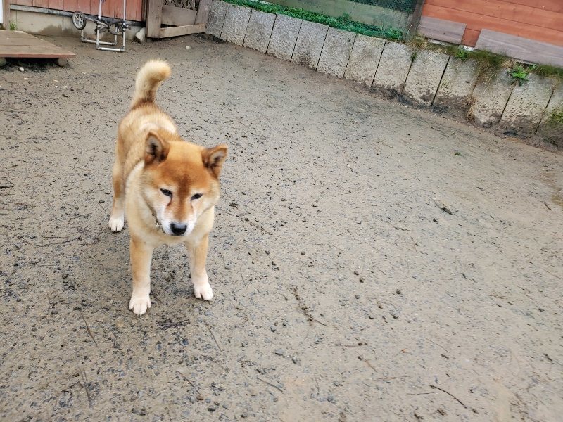 f:id:roukenhome-ann:20191224182749j:plain