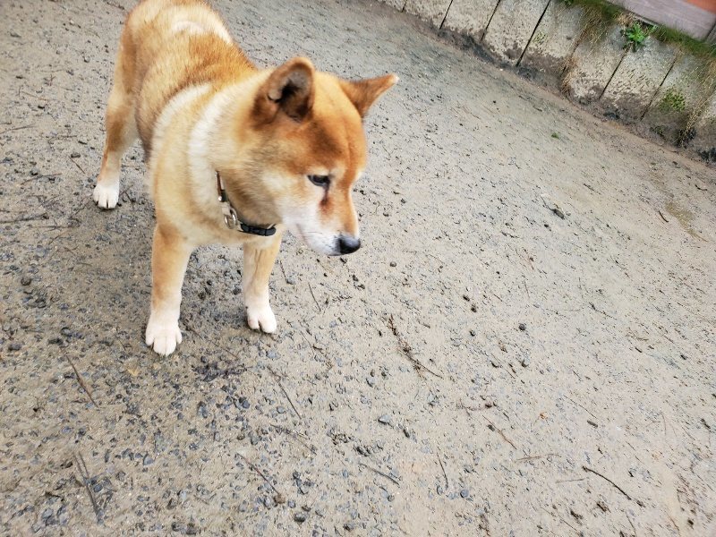 f:id:roukenhome-ann:20191224182802j:plain