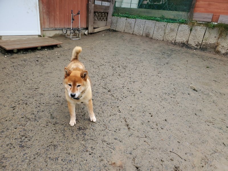 f:id:roukenhome-ann:20191224182813j:plain