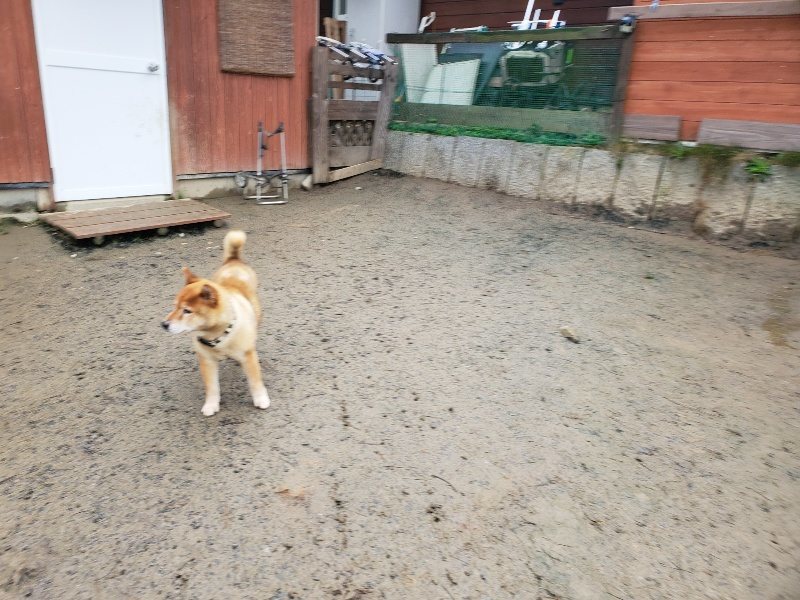 f:id:roukenhome-ann:20191224182834j:plain